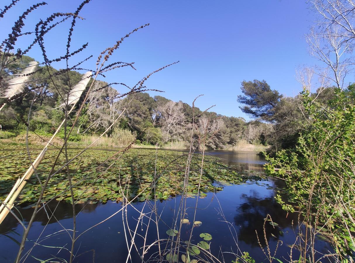 Domaine De La Coudouliere, Vue Mer, Plage, Piscine Et Parc Six-Fours-les-Plages Exteriör bild
