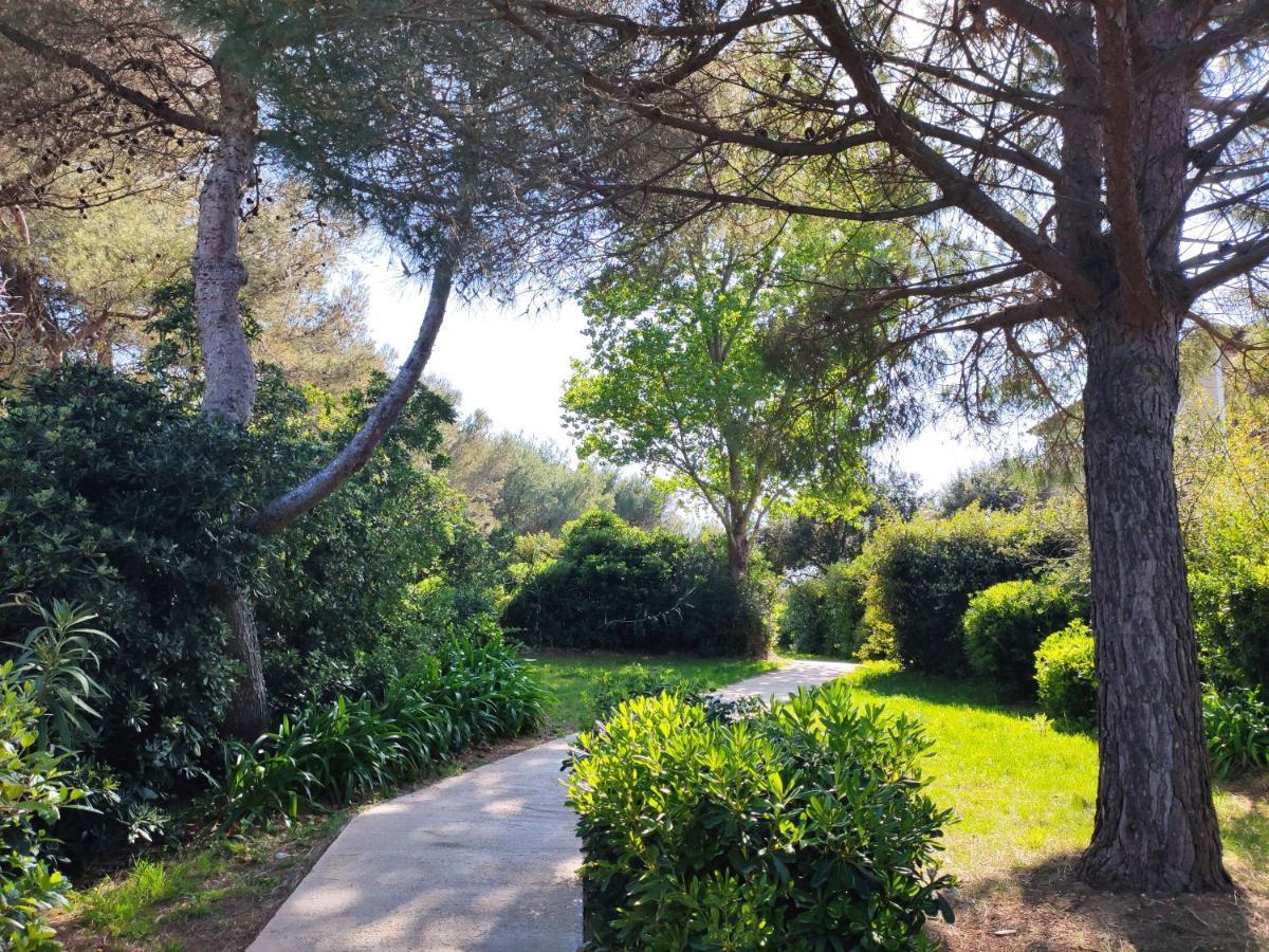 Domaine De La Coudouliere, Vue Mer, Plage, Piscine Et Parc Six-Fours-les-Plages Exteriör bild